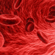 Das Hämoglobin im Blut ist der wichtigste Bestandteil der roten Blutkörperchen und für die typisch rote Farbe verantwortlich.